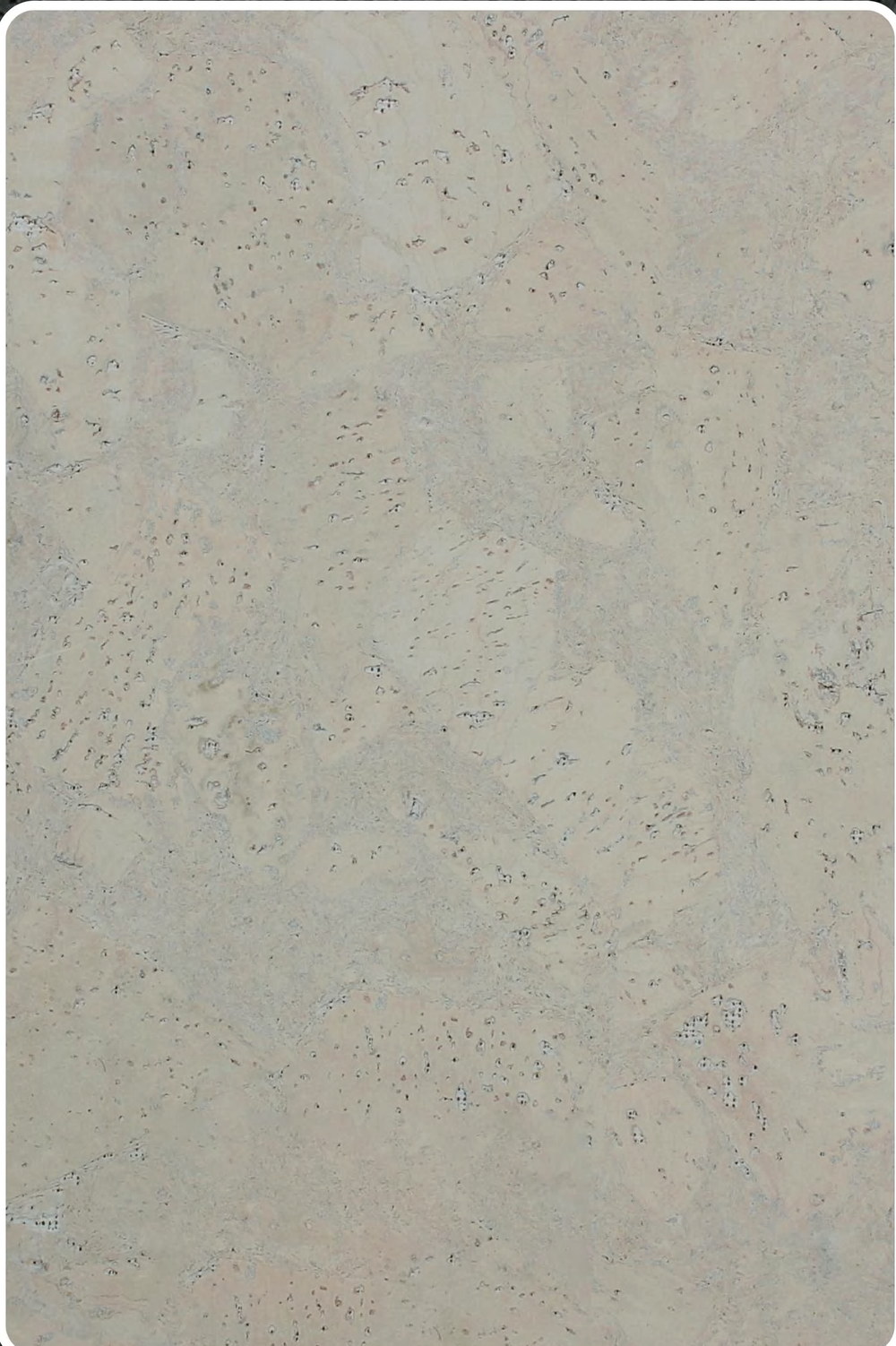 Close-up texture of flat cork wall panel K25-ZR213-S029