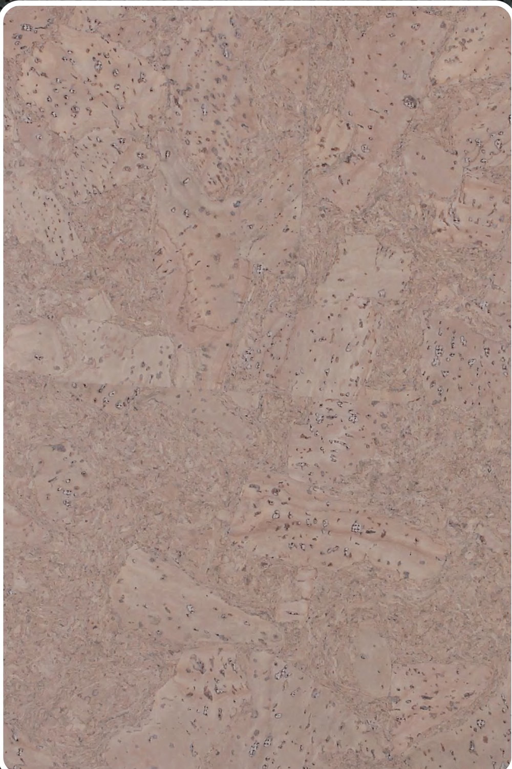 Close-up texture of flat cork wall panel K25-ZR213-S031