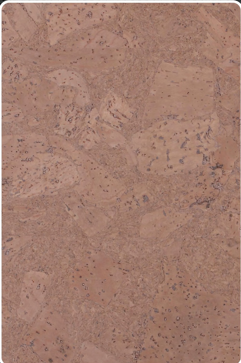 Close-up texture of flat cork wall panel K25-ZR213-S032