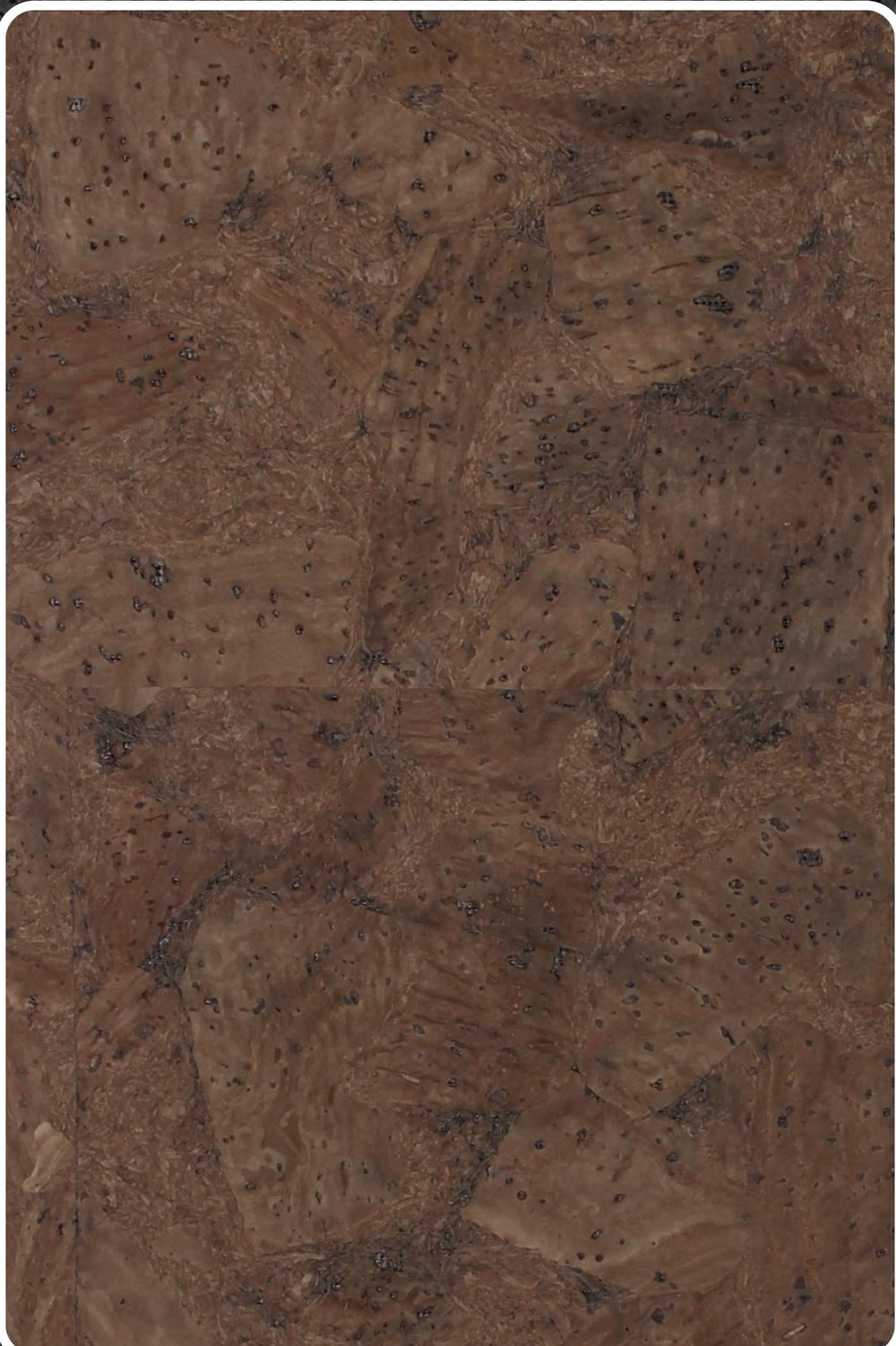 Close-up texture of flat cork wall panel K25-ZR213-S038