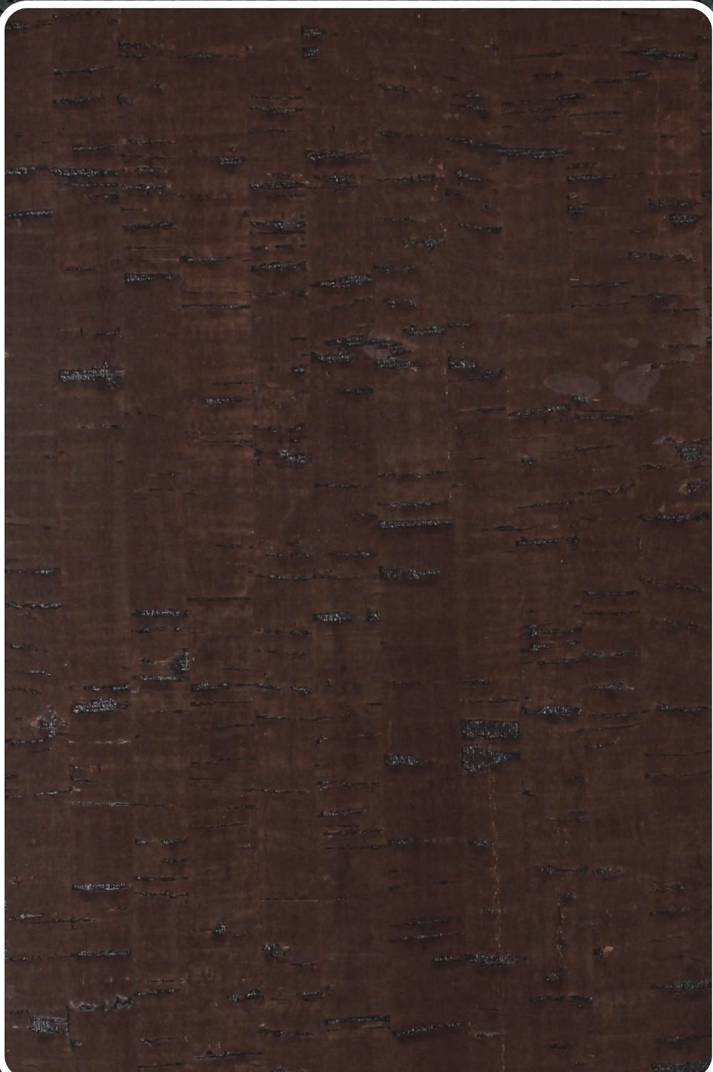 Close-up texture of flat cork wall panel ZR113-S14